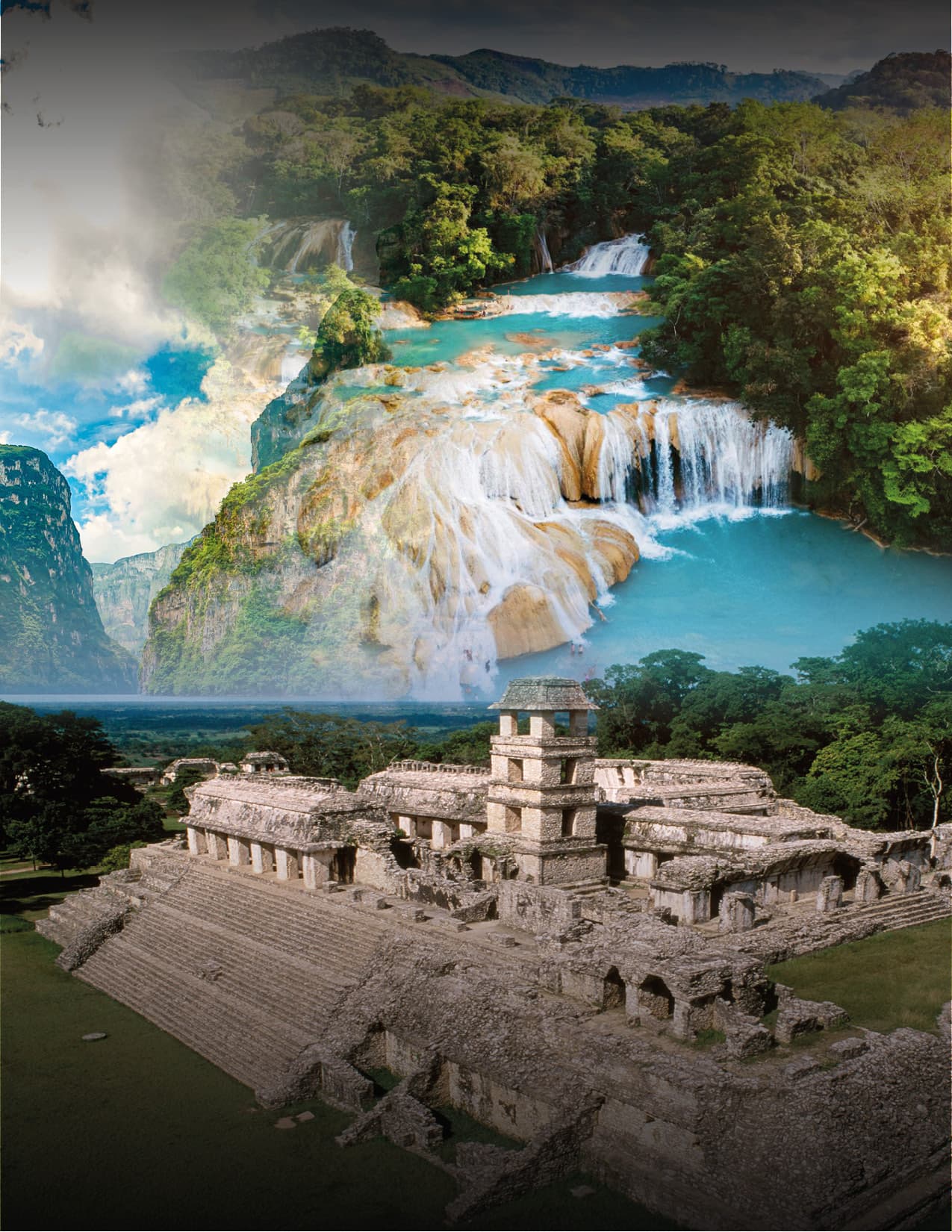 Chiapas Selvático