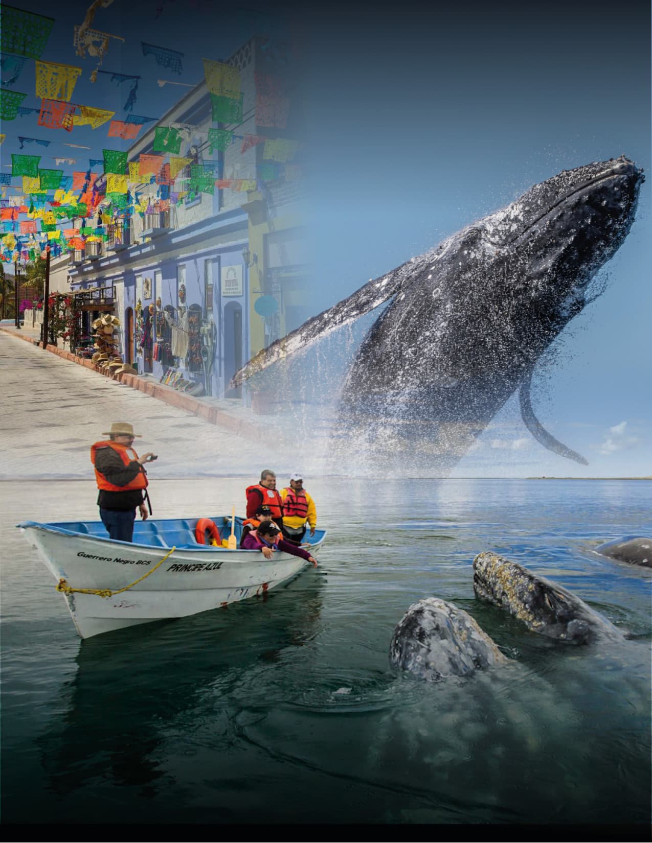 Santuario de la Ballena Gris (2027) (sin vuelos)